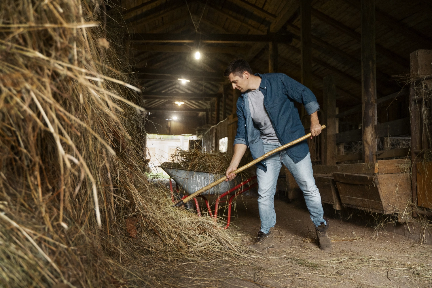 Farm work para Working Holiday en Australia